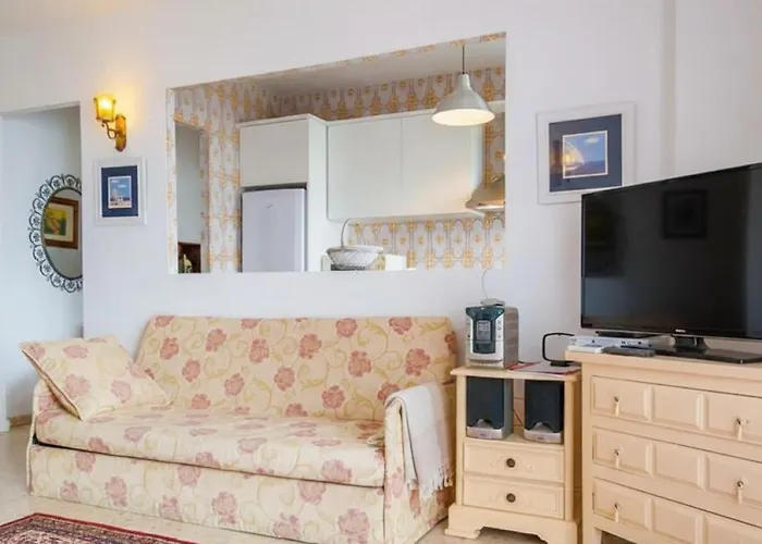 Carabeo Rocamar * ネルハ